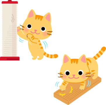 麻紐の爪とぎと段ボールの爪とぎを使う猫