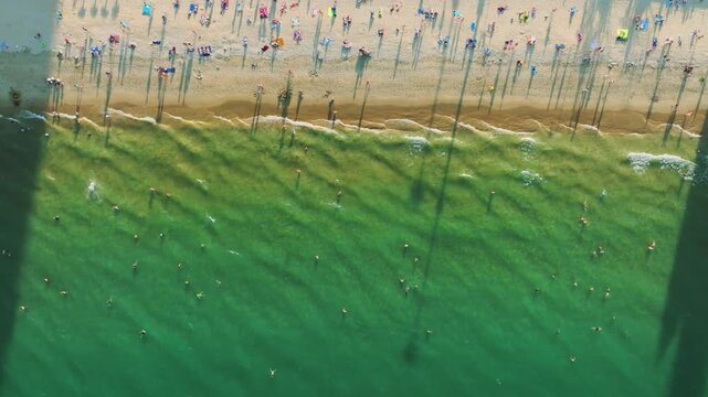 Top Down Crowd of tourists on tropical beach during summer sunset aerial drone shot in Nha Trang beach, Vietnam
the activity of tourists bathing in clear blue water. a vibrant scene of white beach umb