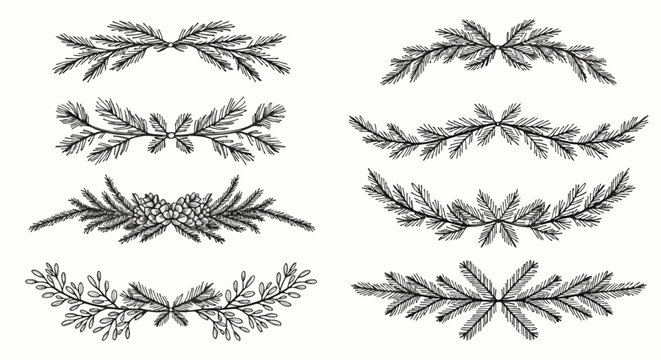 Collection of black ink hand-drawn evergreen branch dividers and decorative holiday greenery borders featuring pine needles, spruce branches, and pine cones on white background.