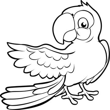 Parrot tropical bird cartoon character animal illustration