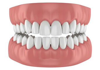 Fototapeta premium A set of human teeth with gums isolated on transparent background