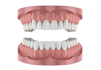 Fototapeta premium Denture teeth with gums isolated on transparent background