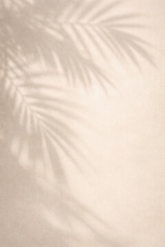 Shadow Of Palm Tree Leaf On Beige Wall Background With Copy Space
