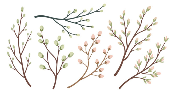 A set of tree branches with buds and flowers isolated on transparent background, isolated on white background, Vector
