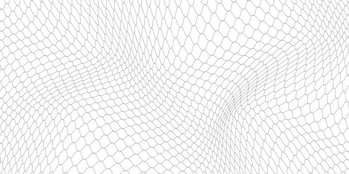 Black snake skin pattern isolated on white background eps 10