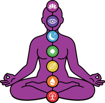 土信田裕介先生　SOLAR PLEXUS SYSTEM 「SP System」 Celiac plexus - Wikipedia