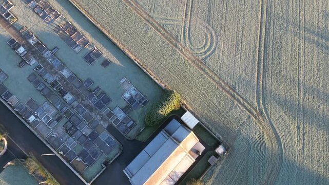 Breathtaking aerial footage showcases frost-kissed farmlands of Muckalee, Ireland, with expansive rural landscapes stretching under a clear morning sky. Captured in stunning horizontal format.