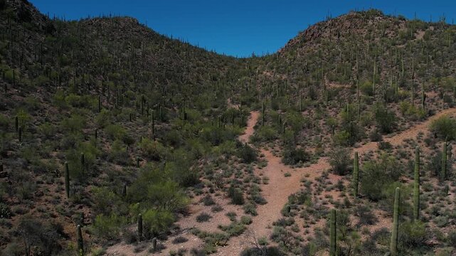 Desert Hiking Trail Aerial Shot