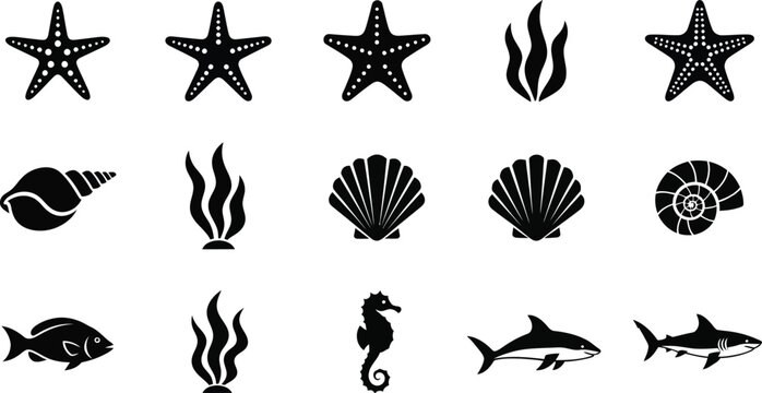 Collection of black silhouette of marine life and underwater plants starfish seashell conch nautilus
