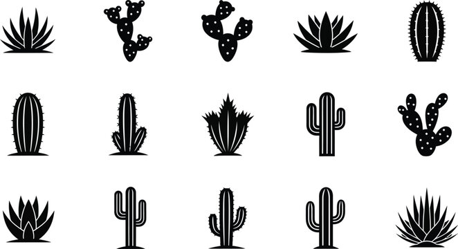 Collection of black silhouette of various desert plants and cacti cactus succulent agave desert plant prickly pear saguaro aloe vera botanical flora plant silhouette
