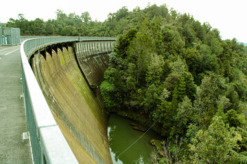 Fototapeta premium Massive Concrete Dam Wall Integrated into Lush Native New Zealand Forest