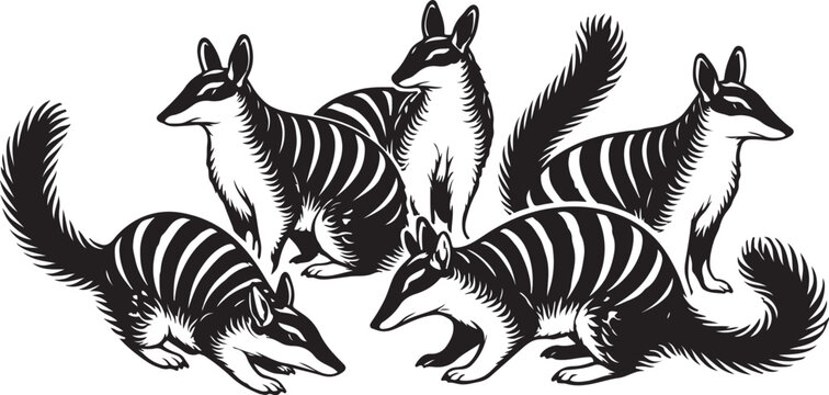 Numbat group line art silhouette	
