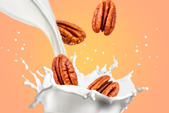 Pecan Nuts Splashing in Milk. Perfect for dairy and plant-based milk advertising, nut-based beverages, breakfast cereal branding, snack promotions, packaging design, health and wellness campaigns.