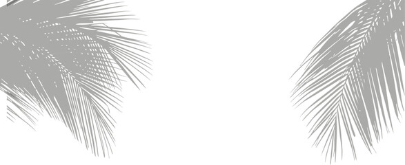 Minimal tropical palm leaf shadows on light background creating elegant natural composition for modern design. Soft botanical silhouettes with subtle overlay effect ideal for branding, posters,  © Parul