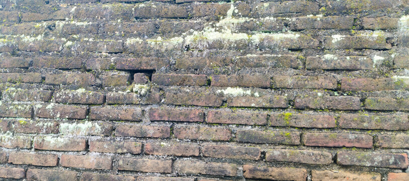 old brick wall