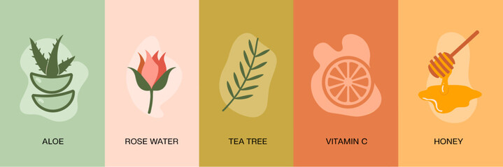 Obraz premium Natural Skincare Ingredients Banner Set Flat Vector with Aloe Rose Water Tea Tree Vitamin C and Honey Extracts