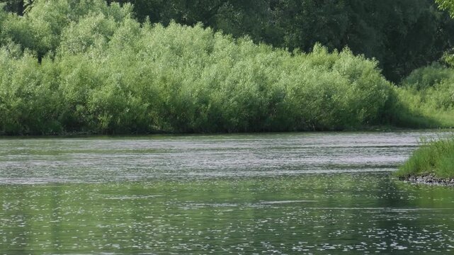 Southern Urals in summer: the Yuryuzan mountain river.