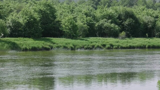 Southern Urals in summer: the Yuryuzan mountain river.
