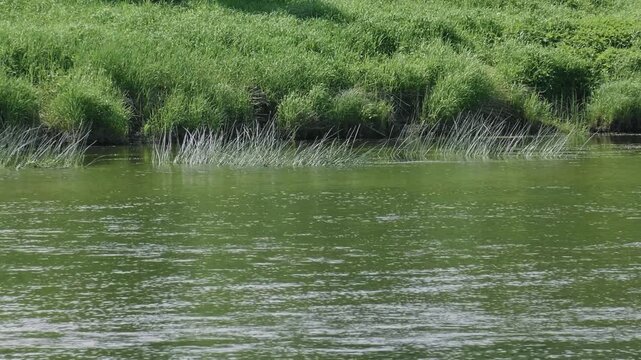 Southern Urals in summer: the Yuryuzan mountain river.