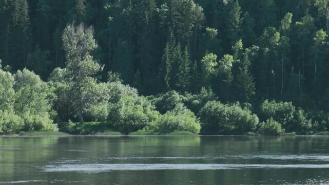 Southern Urals in summer: the Yuryuzan mountain river.
