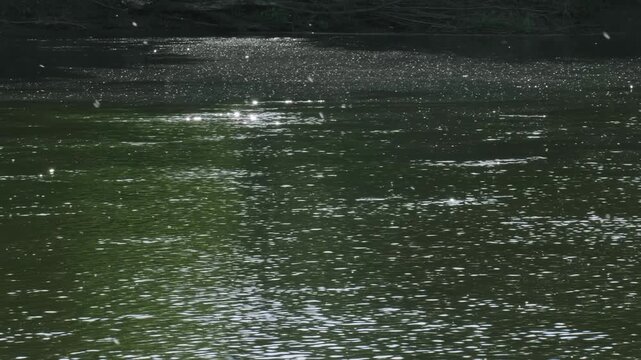 Southern Urals in summer: the Yuryuzan mountain river.