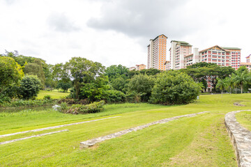 Obraz premium High-rise residential apartment buildings stand behind lush green public park with trees and grass. Urban housing development integrated with nature in Singapore city landscape.