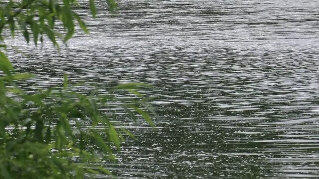Southern Urals in summer: the Yuryuzan mountain river.