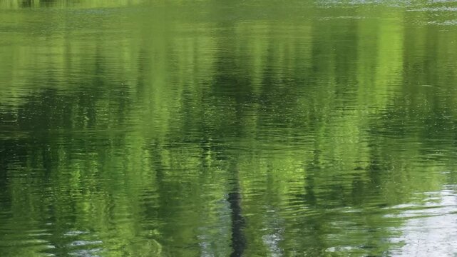 Southern Urals in summer: the Yuryuzan mountain river.