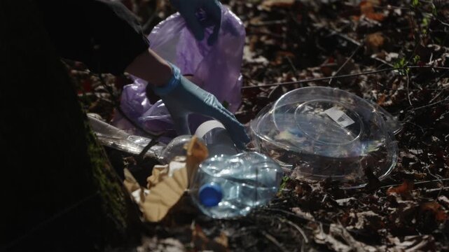 Horizontal shot of a volunteer cleaning up plastic waste from the forest floor. Activism and environmental protection in action.