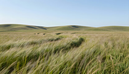 Fototapeta premium Rolling hills and grassy fields