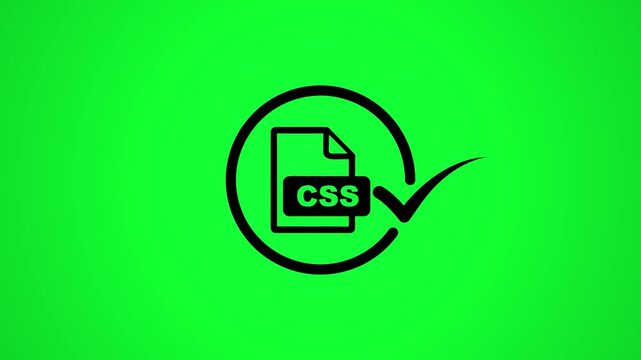Black css file icon animation with check mark on green background representing successful web development coding process.