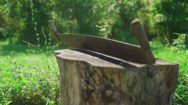 Rusty Hand Saw On Stump Sunlit Meadow Bokeh, Weathered Blade Rests Across Tree Stump With Serrated Teeth Visible, Moss And Grass Surround, Quiet Rural Gardening Scene With Woodcutter Pause And Aged