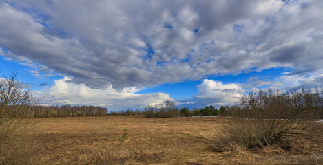 Fototapeta premium Open field stretches under vast, cloudy sky