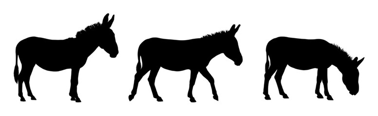 Fototapeta premium Donkey silhouettes set- vector illustration