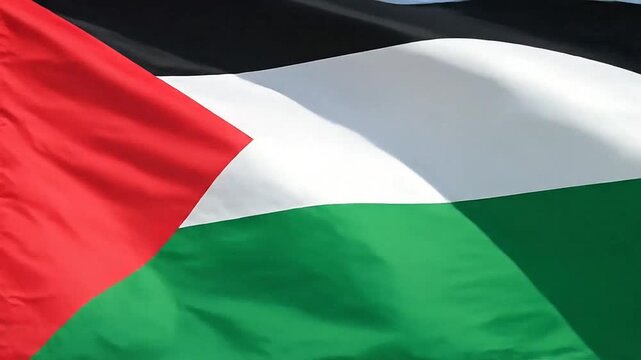 A vibrant tricolor flag with a red triangle waving against a clear blue sky