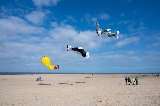 Large inflatable kites flying in air on beach, characters from Looney Tunes cartoon, Tweety, Sylvester, and Bugs Bunny, Brouwersdam, North Sea, Netherlands