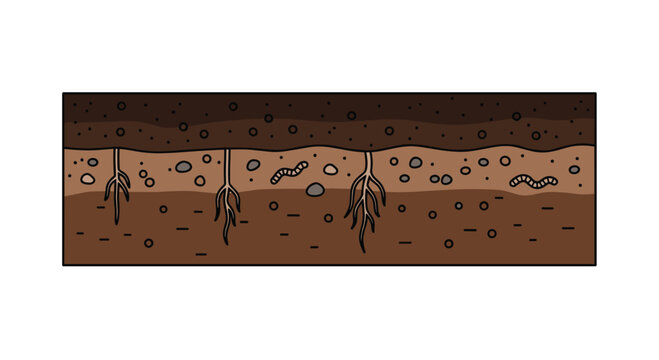 Detailed subterranean soil profile layers display organic topsoil and rocky subsoil with intricate root systems in a vibrant earthy brown color palette.