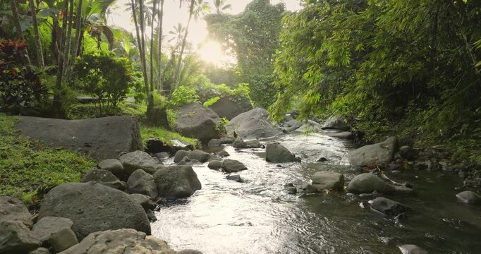 Stream flowing over moss covered boulders through lush tropical jungle and bamboo in Savusavu, Fiji, sunlight filtering through the canopy onto clear, tranquil waters. Natural background. Drone flight