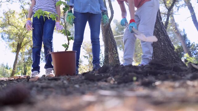 Group of dedicated volunteers planting a new tree in the forest, contributing to environmental conservation, reforestation, and a greener future for the community