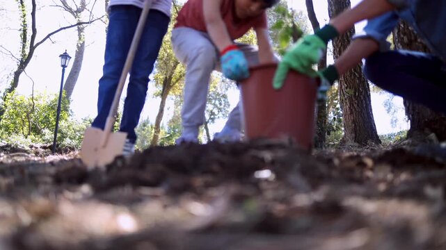 Volunteers collaborating on tree planting for reforestation and environmental conservation, a family effort teaching sustainability and community work in a sunny park