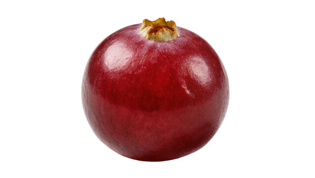 Single ripe cranberry with yellow blossom atop glossy surface