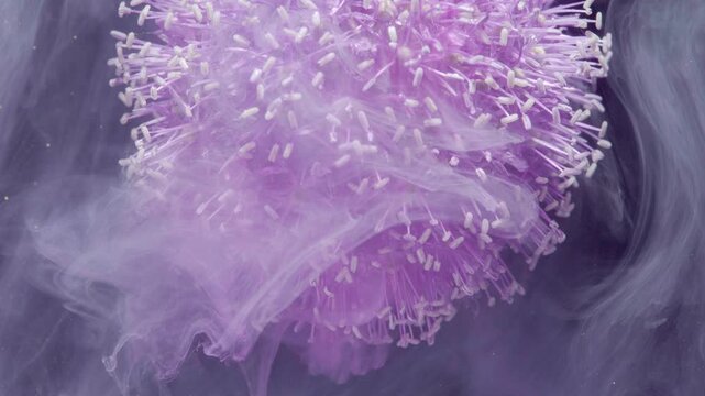 Closeup allium head in swirling ink undercurrent, translucent plumes wrap bloom while gentle bubbles and ripples create dreamy slow motion, detailed