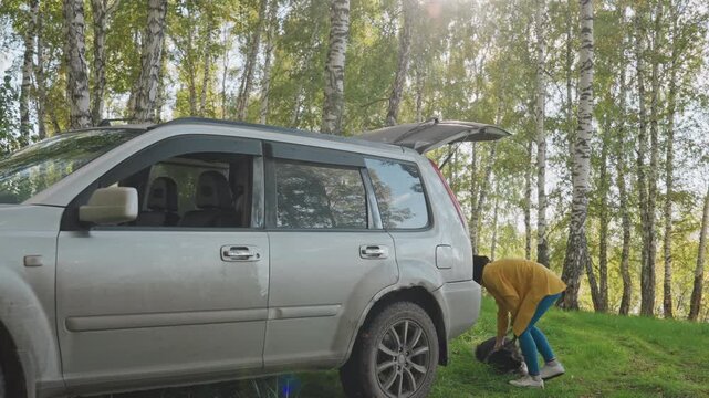 Camping supplies organized. Preparing equipment thoroughly before outdoor adventure starts. Diligently packing and organizing all necessary supplies beneath tall trees before camping begins