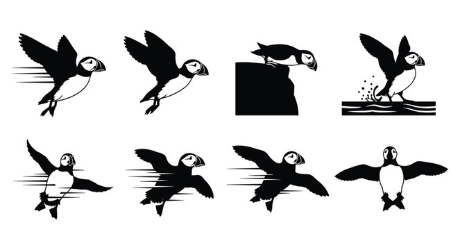 Black Puffin Seabird Silhouette Set Vector Illustration Collection Isolated on White Background