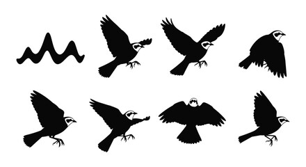 Fototapeta premium Black Sparrow Finch Bird Silhouette Set Vector Illustration Collection Isolated on White Background