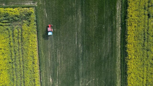 Aerial top-down drone view of a tractor spreading fertilizer on agricultural field. Spring farming scene with crop rows and geometric patterns in rural landscape.