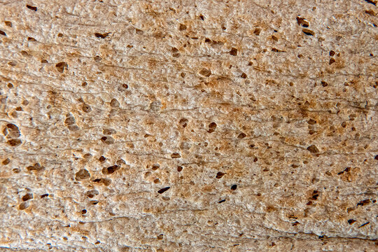 Close-up of a textured natural surface of crispbread