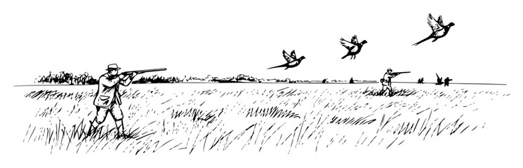 hunter shooting pheasants in field detailed sketch vector lineart © Wieslaw