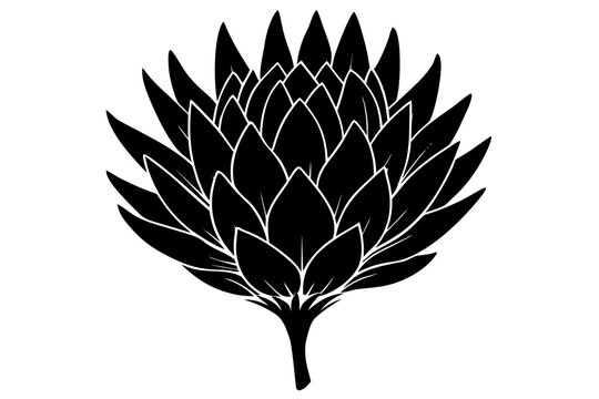 King Protea flower icon, king protea flower silhouette vector,  king protea flower black symbol