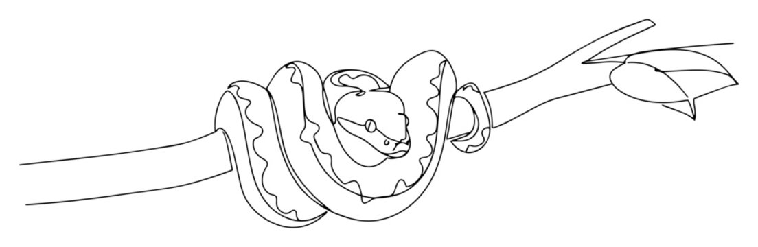python snake coiled on tree branch continuous one line art vector